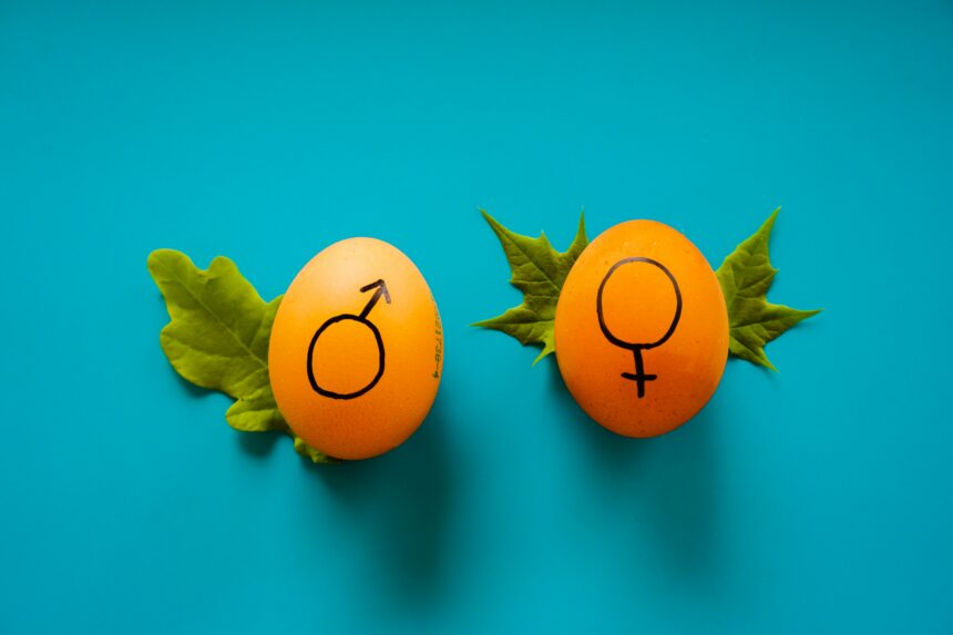 The Future is Female?