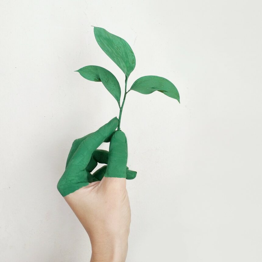 Green Weeks: Enraged audience lashes out at UvA-HvA boards about Climate Policy